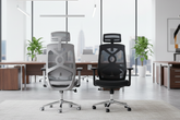 Aura MD-5 Imported Series Edition