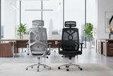 Aura MD-5 Imported Series Edition