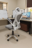 Aura Hb Executive Ergonomic Mesh Chair- Imported Mesh chair